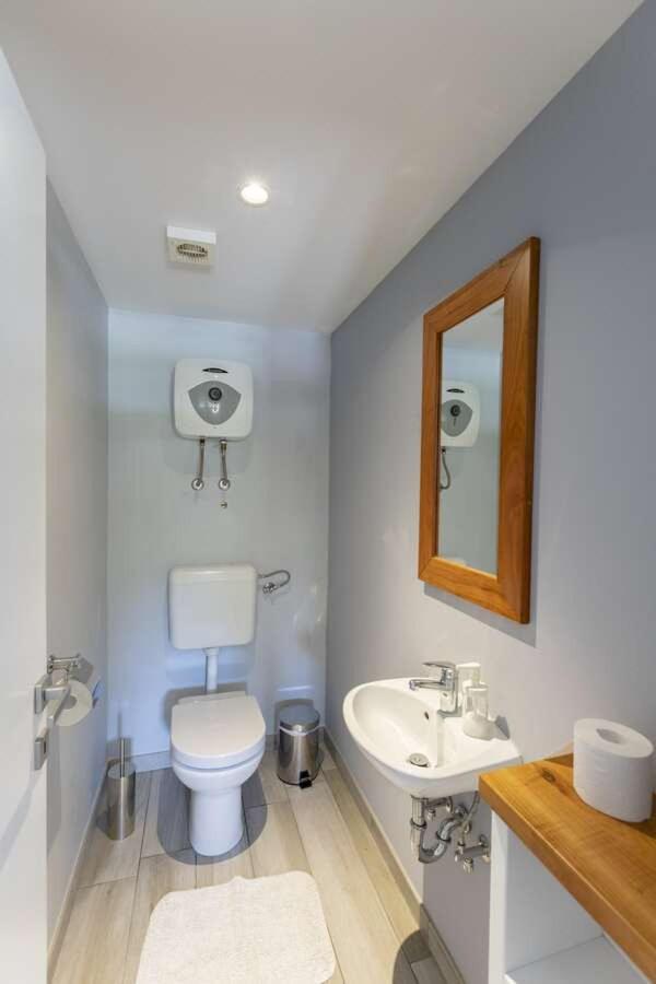 Villa Viscum In Central Istria For 8 Persons With Large Garden - Pet Friendly Pazin Εξωτερικό φωτογραφία